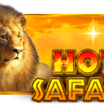 Hot Safari™